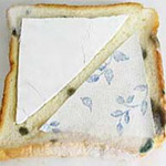 実験後:パンを使った防カビ実験