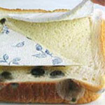 実験後:パンを使った防カビ実験